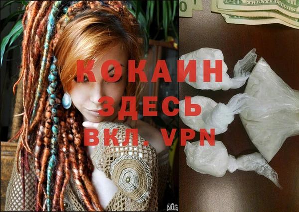 молекула духа Алексин