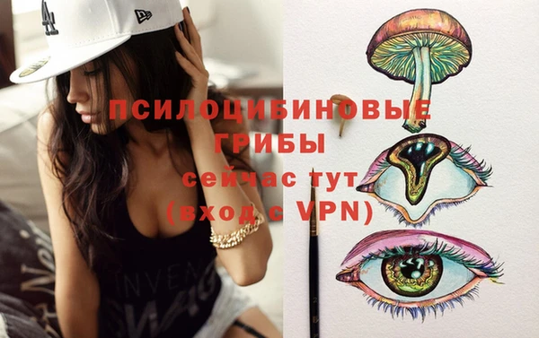 молекула духа Алексин
