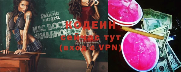 молекула духа Алексин