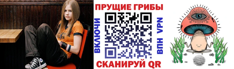 Галлюциногенные грибы мицелий  Шацк 